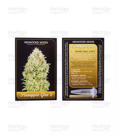 Semi femminizzati di Pineapple Glue