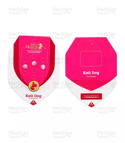 Graines de cannabis Kali Dog (RQS)