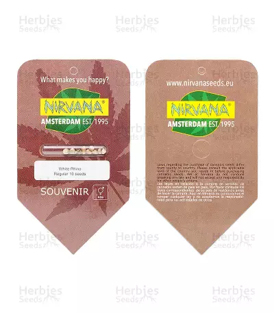 White Rhino regular seeds