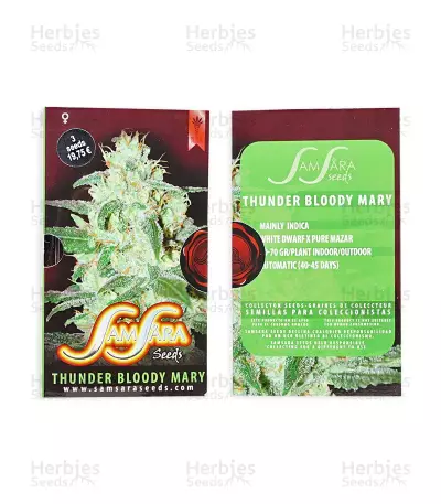 Thunder Bloody Mary Auto Seeds
