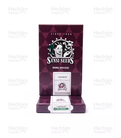 Silver Haze Seeds (Sensi Seeds)
