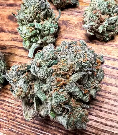Godfather OG (Herbies Seeds)