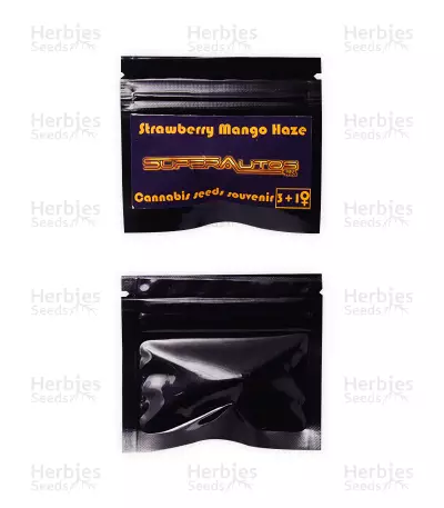 Graines de cannabis Strawberry Mango Haze Auto (Flash Seeds)
