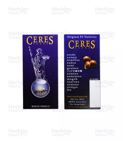 Graines de cannabis White Indica regular (Ceres Seeds)