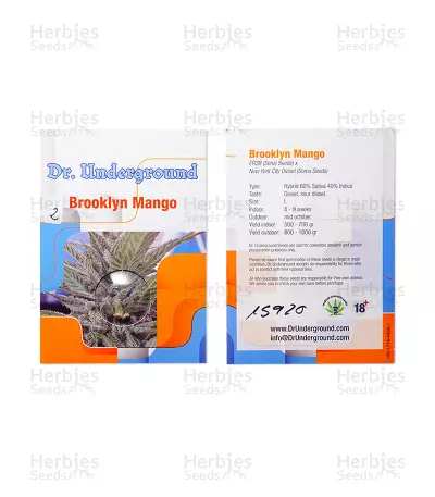 Graines de cannabis Brooklyn Mango (Dr. Underground)