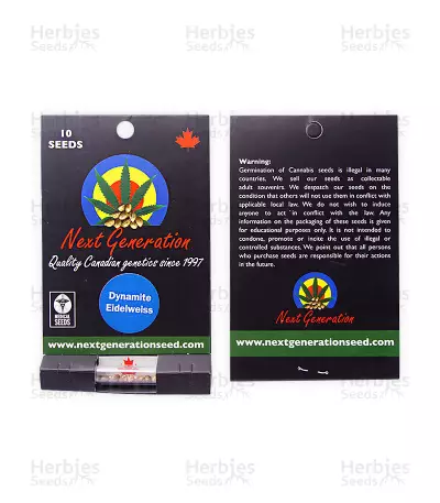Dynamite Eidelweiss regular (Next Generation Seeds)