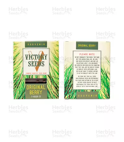 Original Berry (Victory Seeds)