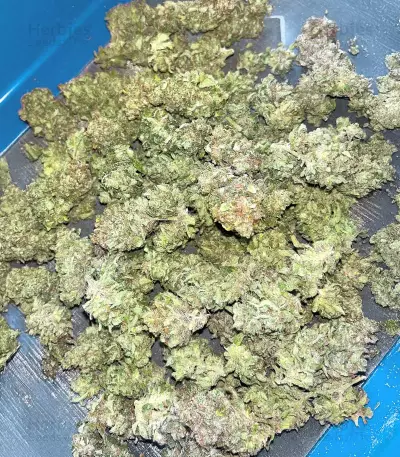 Sour Diesel Autoflower (Seedkeepers)