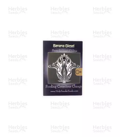Banana Diesel Seeds