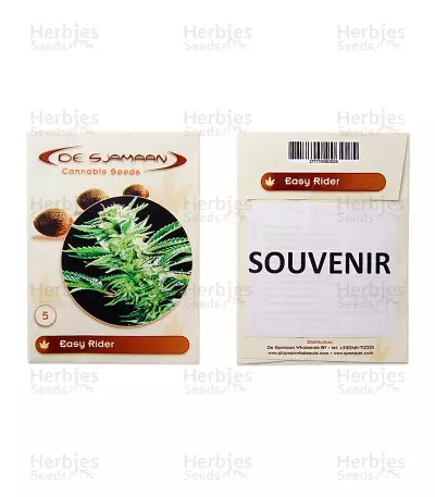 Easy Ryder Seeds