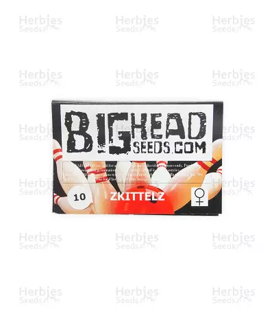 Zkittlez feminized seeds (Big Head Seeds)
