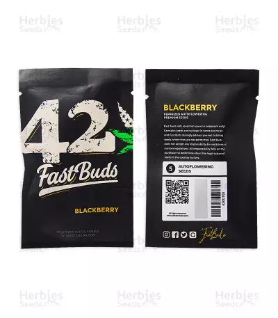 Blackberry Seeds
