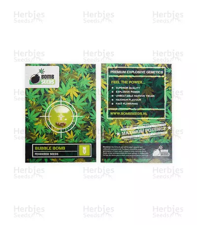 Bubble Bomb feminized seeds