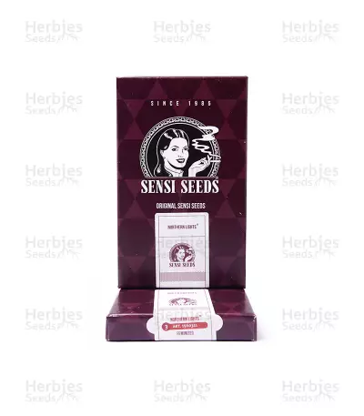 Northern Lights feminized seeds (Sensi Seeds)