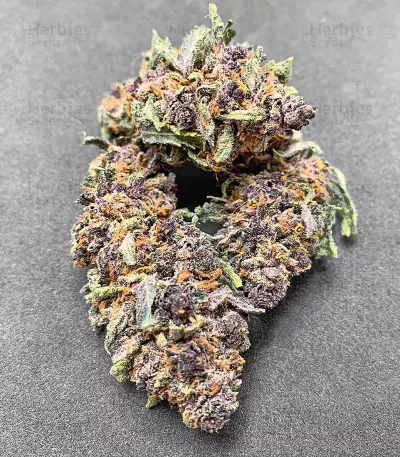 Red Hot Cookies Seeds (Sweet Seeds)