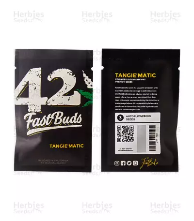 Tangie'matic Auto Seeds