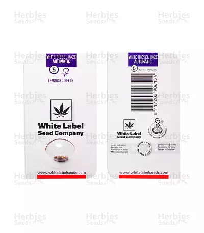 White Diesel Haze Automatic feminized seeds