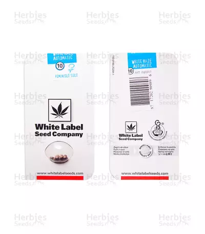 White Haze Automatic feminized seeds