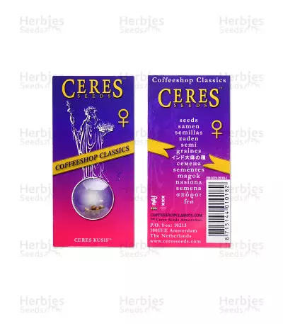 Ceres Kush regular seeds