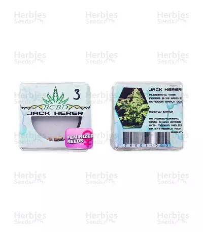 Jack Herer (BC Bud Depot Seeds)
