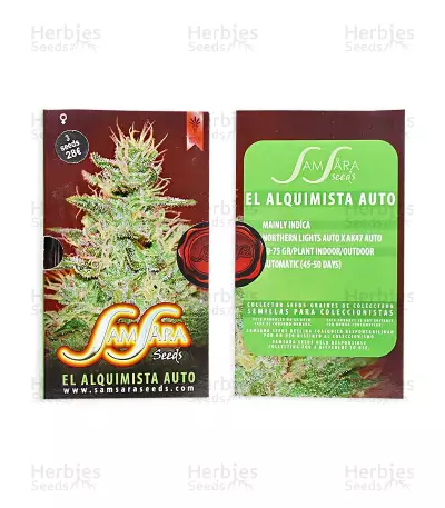 Semi femminizzati El Alquimista Auto