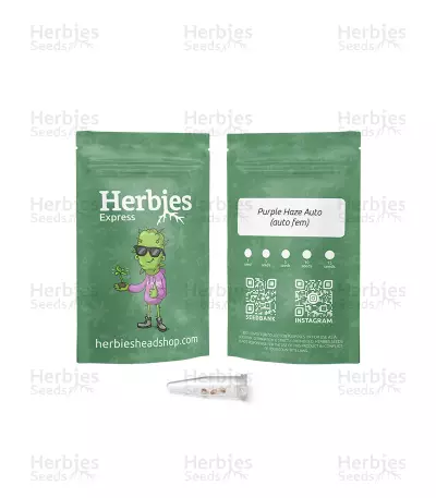 Purple Haze Auto Feminized Seeds (Herbies Seeds Canada)
