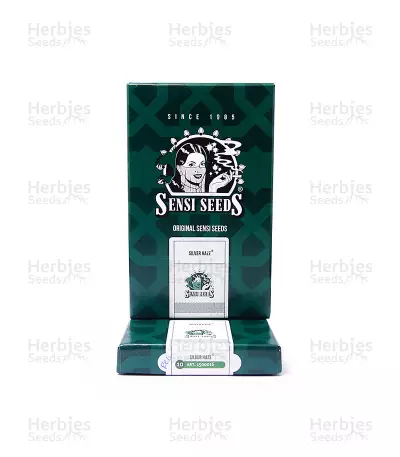 Silver Haze Seeds