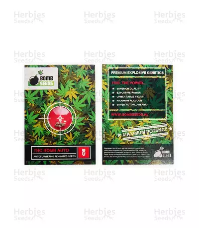 THC Bomb Auto (Bomb Seeds)