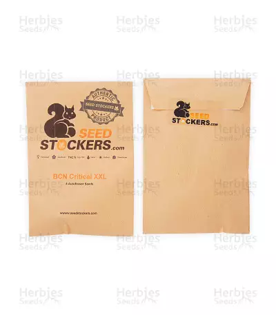 BCN Critical XXL Autoflower (Seedstockers) Cannabis-Samen