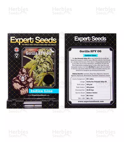 Gorilla SFV OG (Expert Seeds) feminized seeds