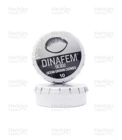 Graines de cannabis Ocean Grown Cookies (Dinafem Seeds)