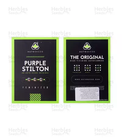 Purple Stilton Auto Seeds