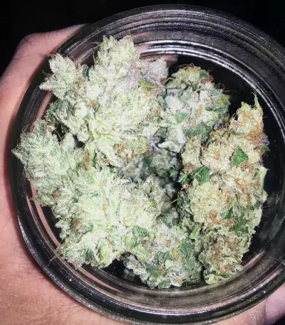 GG#4 Original Glue feminized seeds (Blackskull Seeds)