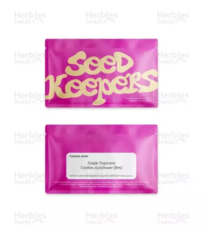 Purple Tropicana Cookies Seeds (Seedkeepers)
