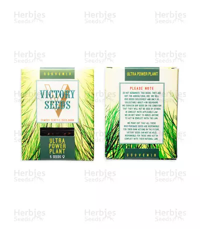 Ultra Power Plant feminized seeds