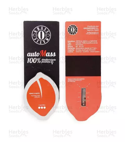 Auto MASS feminized seeds