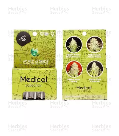 Medical Collection feminized seeds