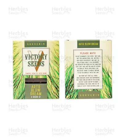 Auto Blow Dream feminized seeds