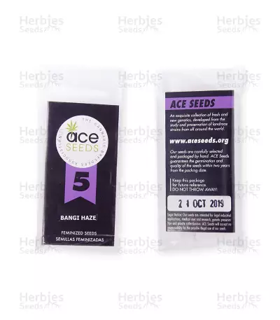 Bangi Haze (Ace Seeds)
