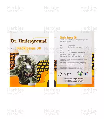 Graines de cannabis Black Jesus OG (Dr Underground)