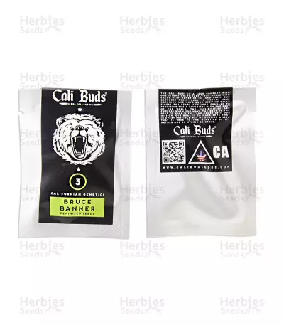 Bruce Banner strain seeds