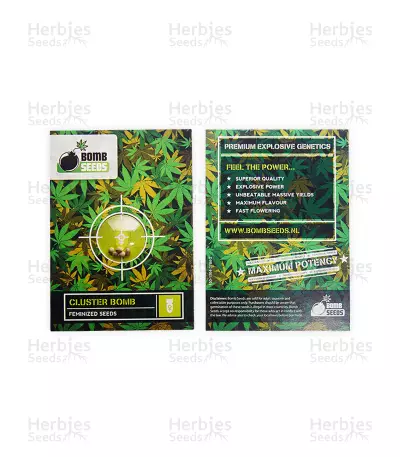 Cluster Bomb Seeds