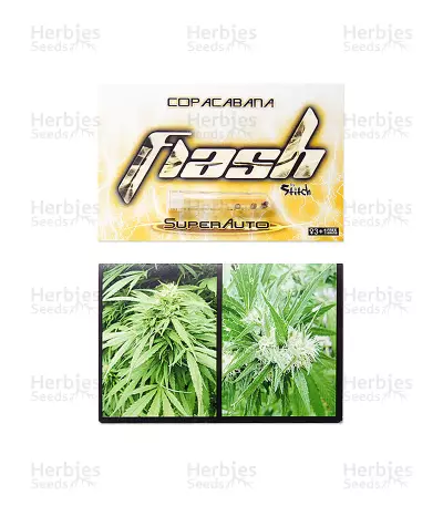 Copacabana Auto (Flash Seeds)