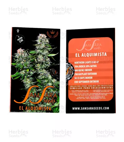 El Alquimista Seeds