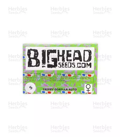 Trippy Gorilla Autoflowering (Big Head Seeds)
