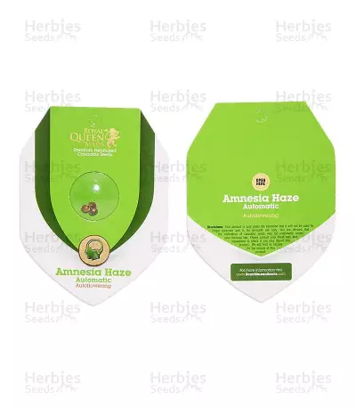 Graines de cannabis Amnesia Haze Automatic (RQS)