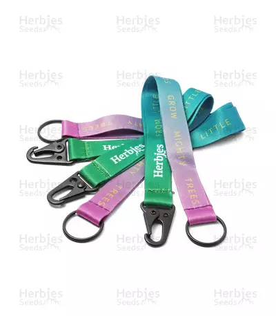 Chaveiro Com Alça (Herbies)