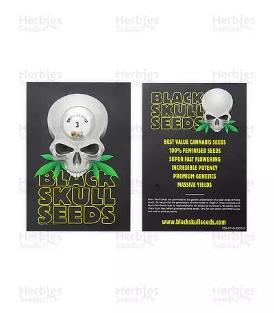 Bruce Banner strain seeds