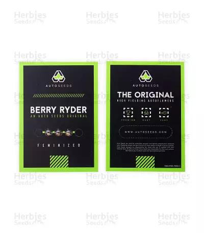 Berry Ryder Auto feminized seeds