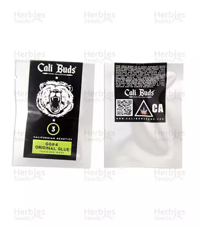 GG#4 Original Glue (Cali Buds Seeds)